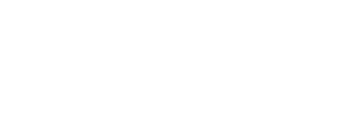 Preiss Logo